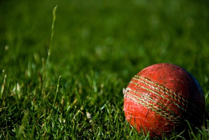 Cricket ball in the grass.