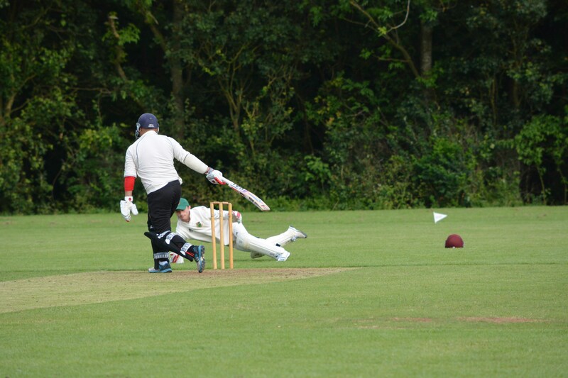 Photo of the tournament.