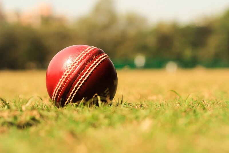 Ball in the grass.